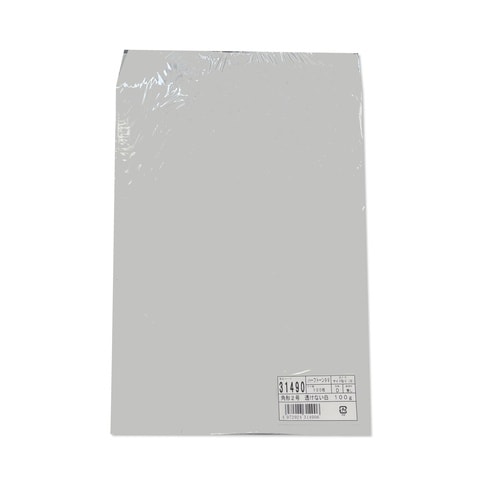 角2 透けない白 100g 31490
