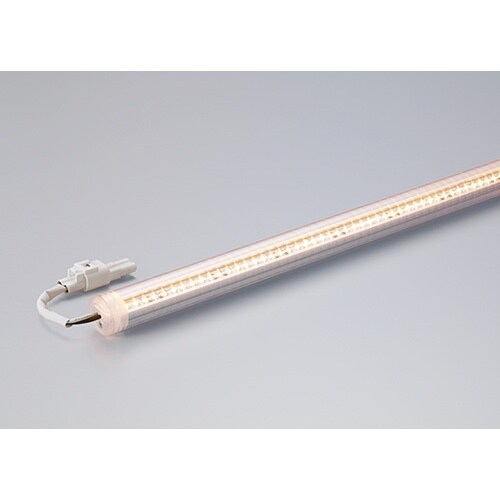 モジュール 2400K 243MM 0.07KG