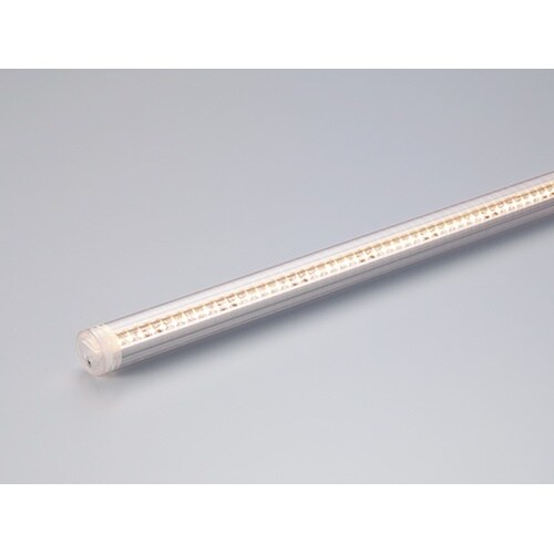 LEDモジュール CLED2−243VL30−F1