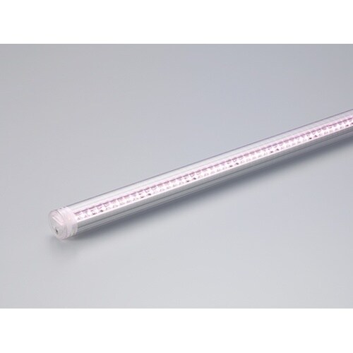 LEDモジュール 593MM 3600K