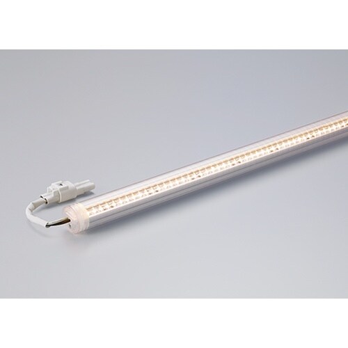 CLED2−2081L30−WP−F1