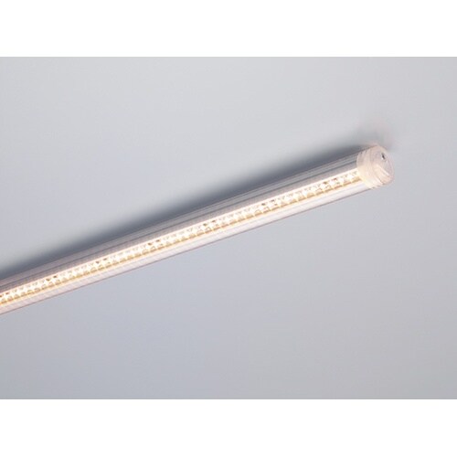 LEDモジュール CLED3−725VL28−F1