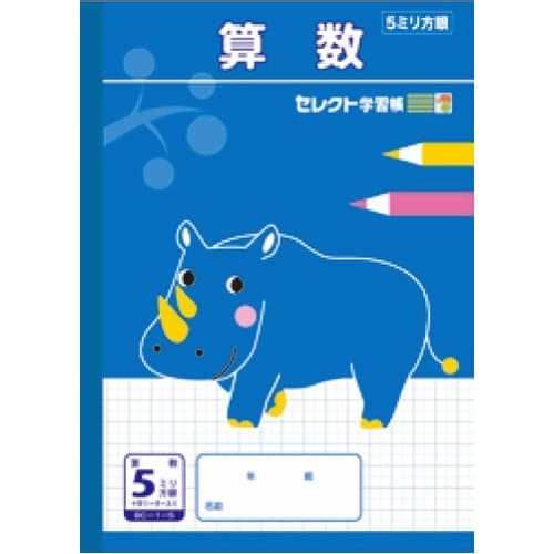 B5セレクト学習帳 算数5ミリ方眼×10