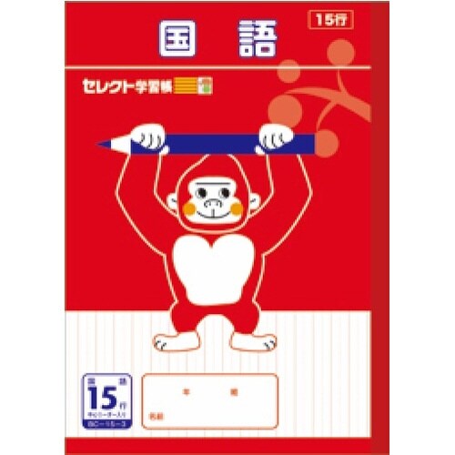 B5セレクト学習帳 国語15行×10