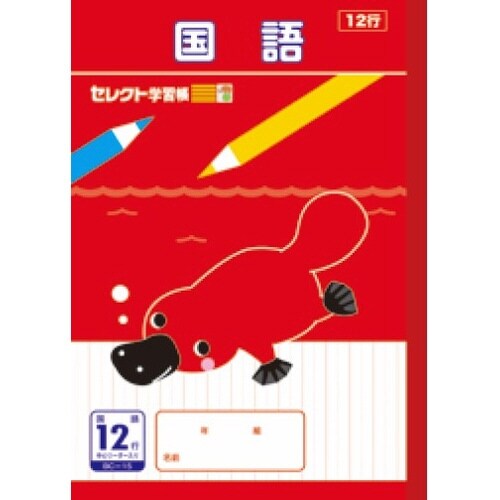 B5セレクト学習帳 国語12行×10
