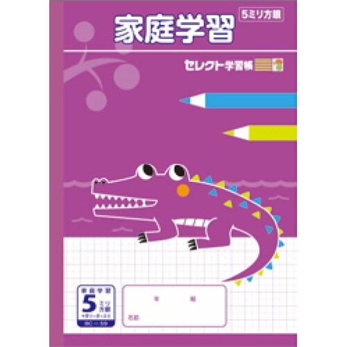 B5セレクト学習帳 家庭学習5ミリ方眼×10