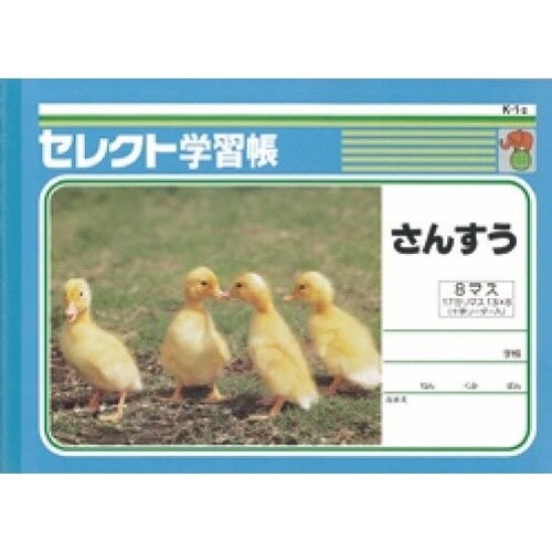 B5セレクト学習帳 さんすう8マス×10