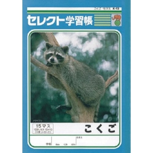 B5セレクト学習帳 こくご15マス×10