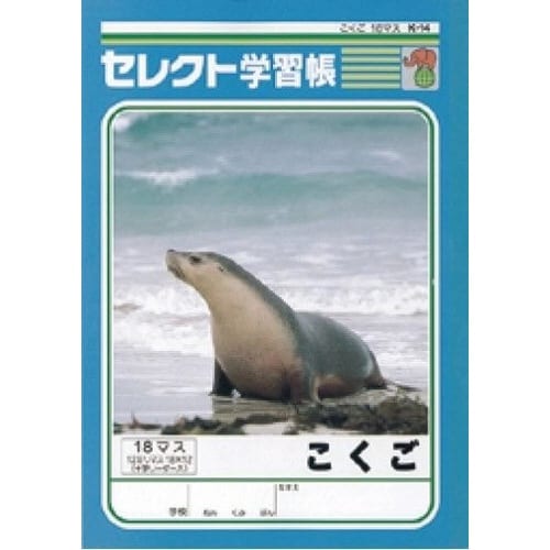B5セレクト学習帳 こくご18マス×10