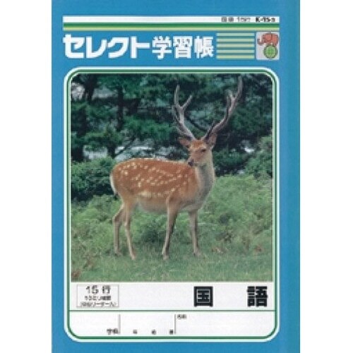 B5セレクト学習帳 国語15行×10