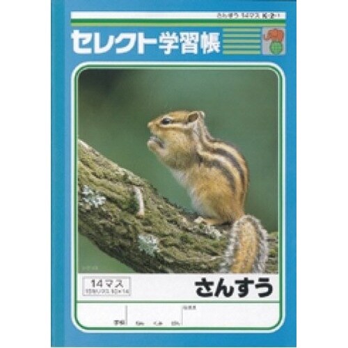B5セレクト学習帳 さんすう14マス×10