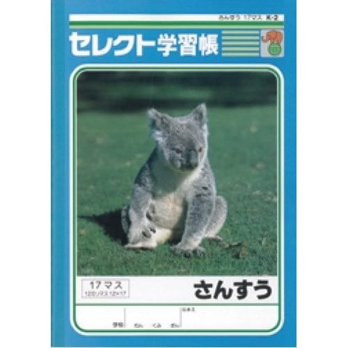B5セレクト学習帳 さんすう17マス×10