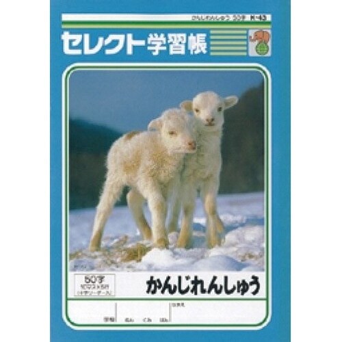 B5セレクト学習帳かんじれんしゅう50字×10