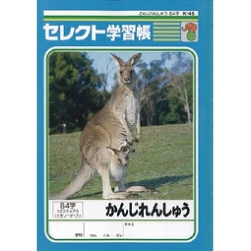 B5セレクト学習帳かんじれんしゅう84字×10