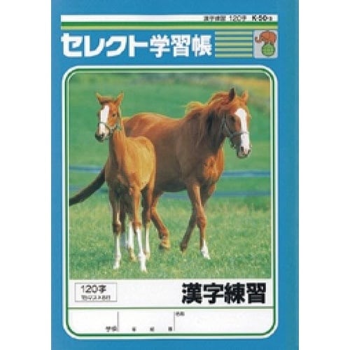 B5セレクト学習帳 漢字練習120字×10