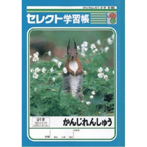 B5セレクト学習帳かんじれんしゅう91字×10