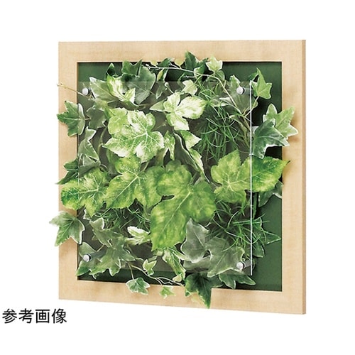 ウォールグリーン 350×67×350m