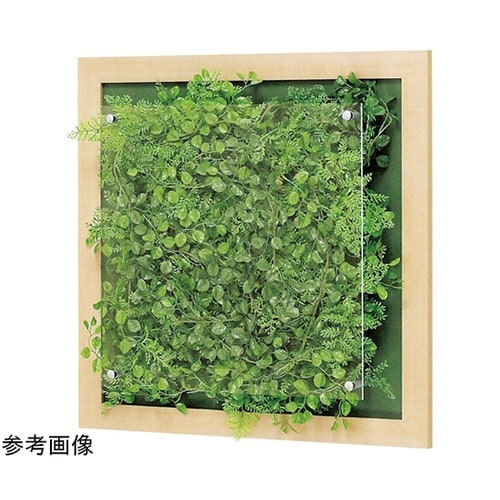 ウォールグリーン 400×67×400m