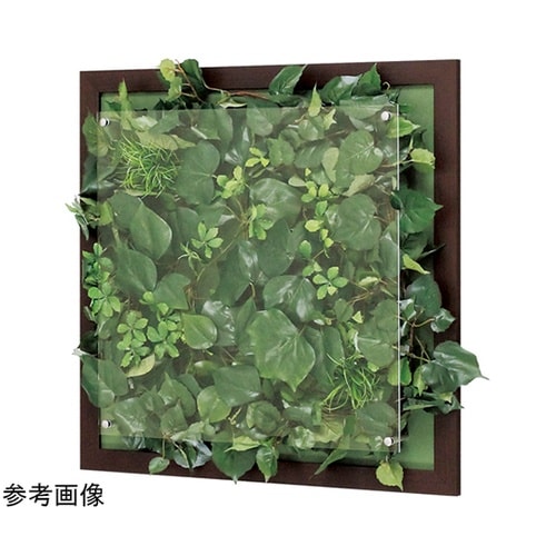 ウォールグリーン 500×67×500m