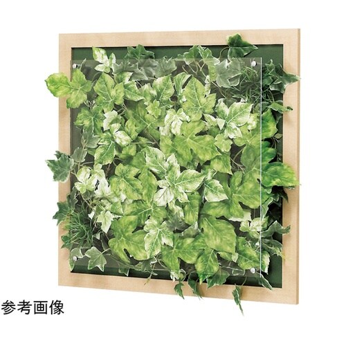 ウォールグリーン 500×67×500m