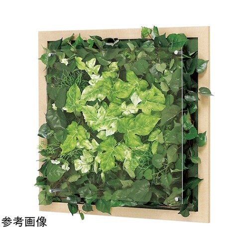 ウォールグリーン 500×67×500m