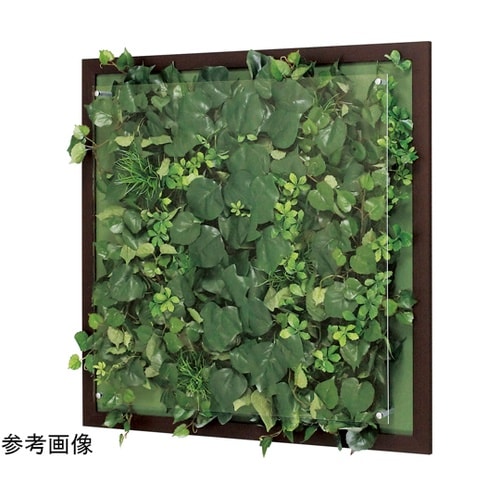 ウォールグリーン 650×67×650m