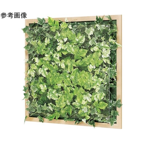 ウォールグリーン 650×67×650m