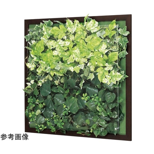 ウォールグリーン 650×67×650m
