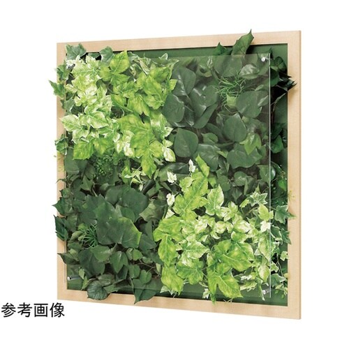 ウォールグリーン 650×67×650m