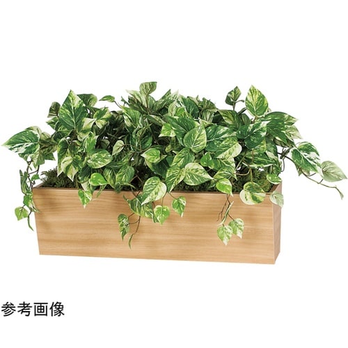 卓上ポット 850×550×420mm