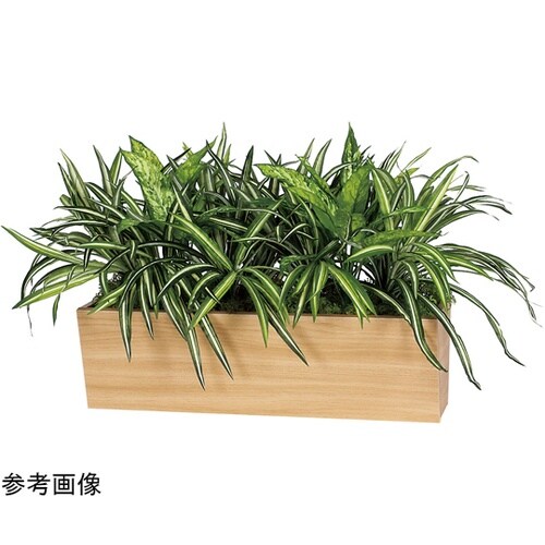 卓上ポット 850×500×500mm