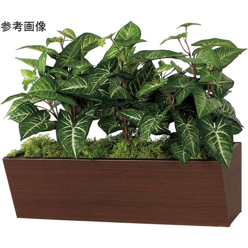 卓上ポット 800×400×500mm