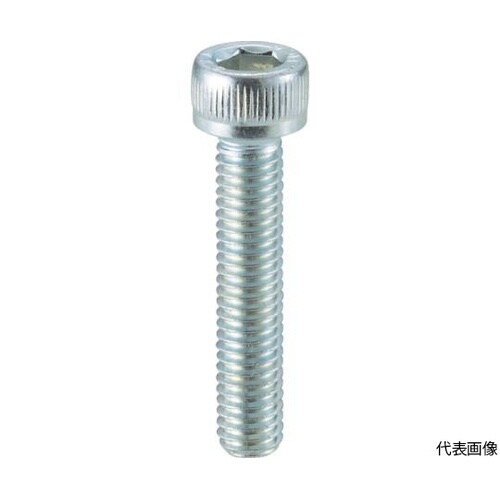 CSSS0630 ユニクローム六角穴付