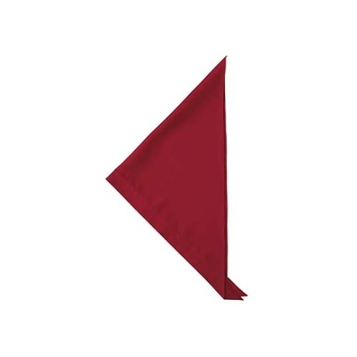 4311640 三角巾 エンジ フリー