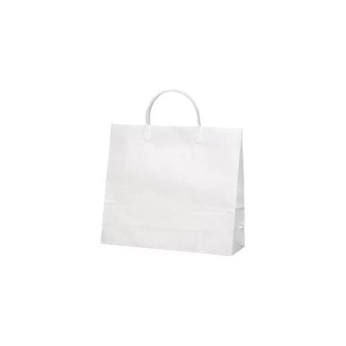 白無地コーティングバッグNO.6