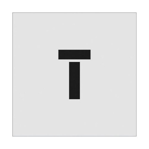 ASTT10065 ステンシル T