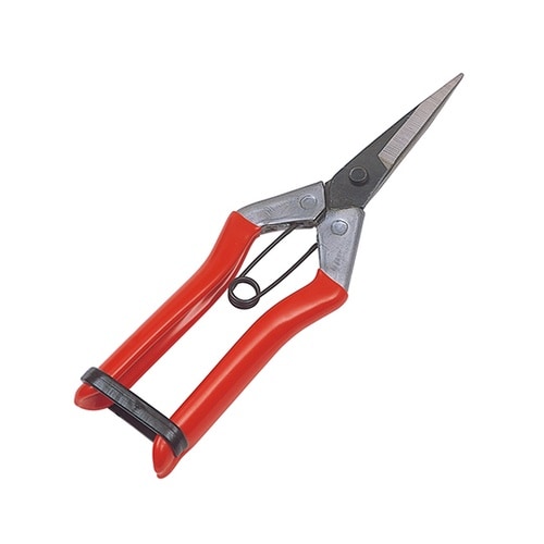 #2286 大福 芽切鋏