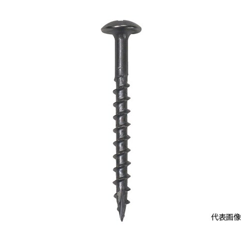 10176697 ビス 100本入