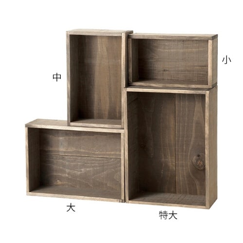 61−554−71−2ワイルドコンテナ中