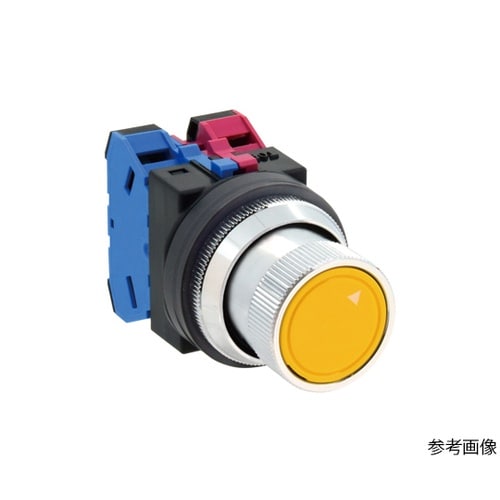 ASBN222N−D10G 押ボタン