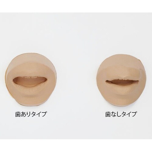 92B 唇模型(歯あり) ウレタンゲル