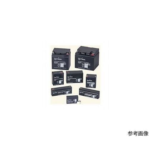 PE12V40B2 鉛蓄電池