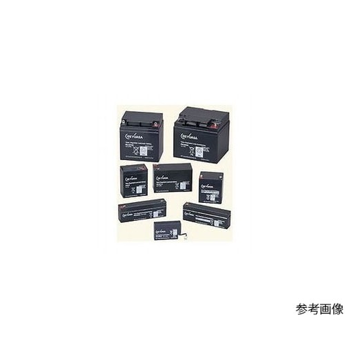 PE6V8F4/A 鉛蓄電池