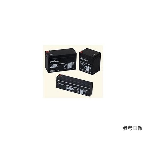 PXL12072F2V0/T 鉛蓄電池