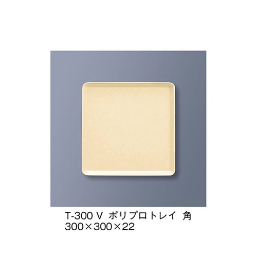 T−300_V ポリプロトレイ角ベージュ
