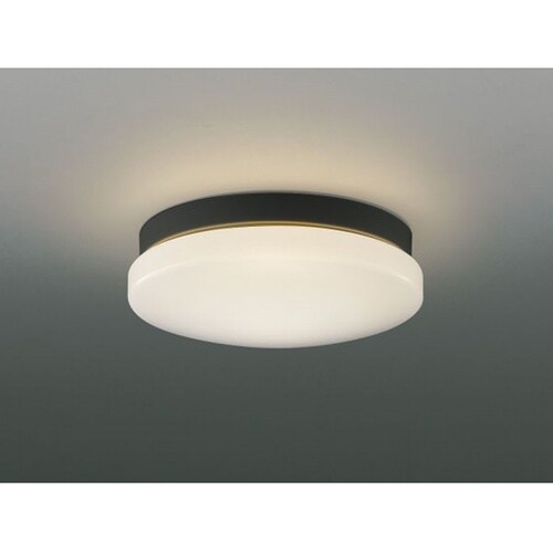 AU45016L 防雨防湿型シーリング