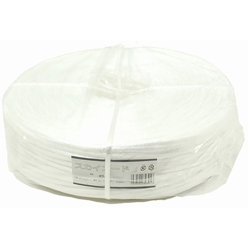 60020029 BMSPPソフトコード