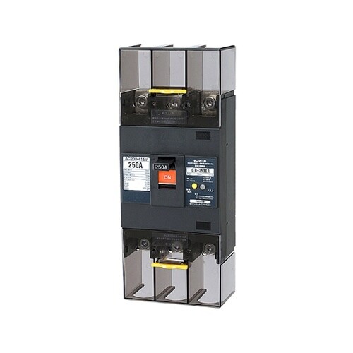 253EA2530 漏電遮断器