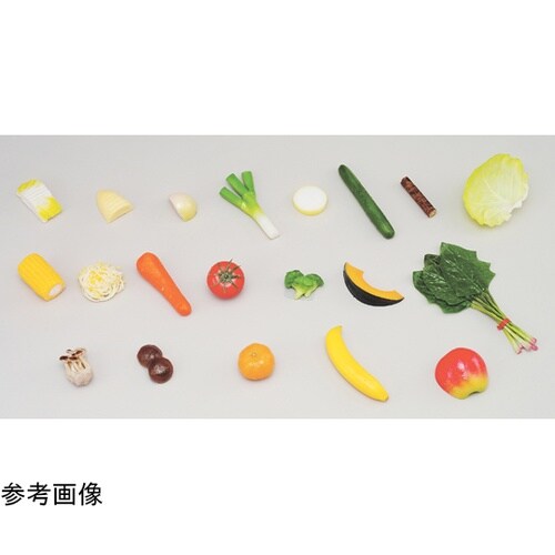 55G−1 学校給食指導用 白菜