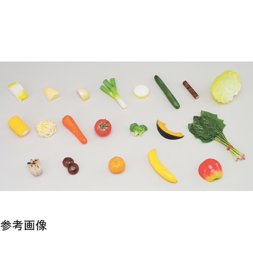 55G−17 学校給食指導用 しいたけ